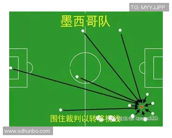 广州排球队整体压制打法深度分析与战术解读